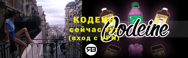 индика Мещовск