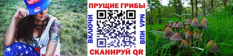 Галлюциногенные грибы ЛСД  закладки  Нижневартовск 